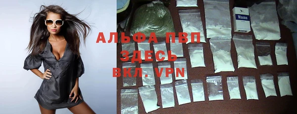 индика Горнозаводск