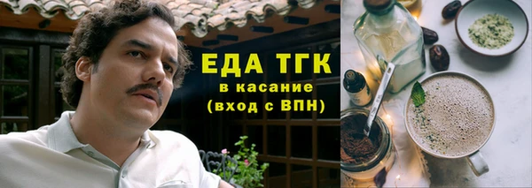 индика Горнозаводск