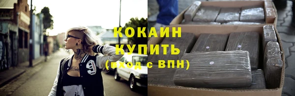 индика Горнозаводск