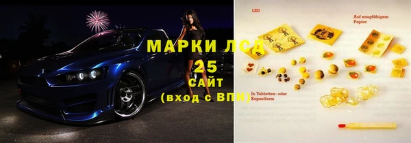 дурь Гусиноозёрск