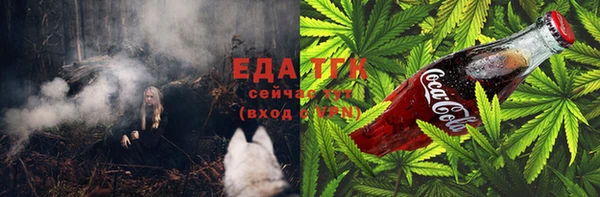 индика Горнозаводск