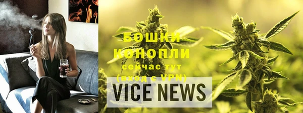 индика Горнозаводск