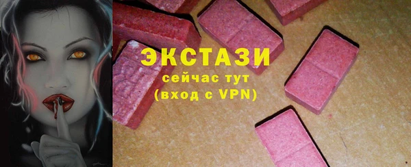 индика Горнозаводск