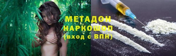 индика Горнозаводск